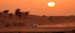 Desert Safari